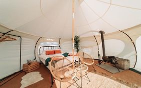 Bamburgh Under Canvas